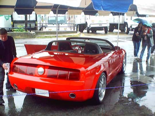 2005 Mustang 8